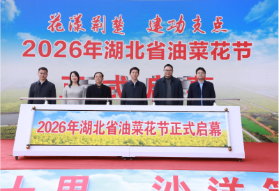 2026年湖北省油菜花节3月18日在沙洋开幕