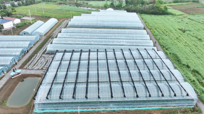 中央媒体“生态守护•共筑安澜”记者行主题采访活动走进沙洋