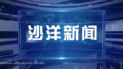 V视丨沙洋新闻20260525