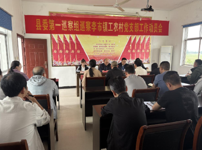 县委第一巡察组进驻李市镇工农村开展巡察工作