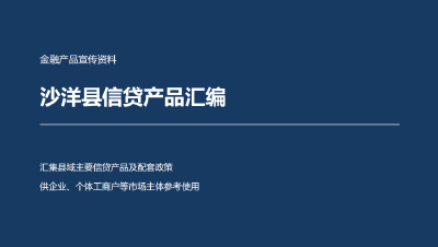 沙洋县信贷产品汇编