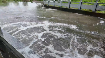 迎战强降雨    沙洋全力抢排保安全