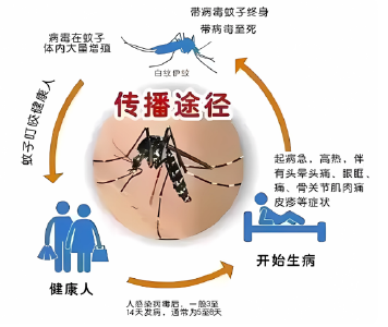 六月健康提示