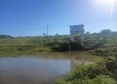 沙洋县：深耕长湖生态治理 绘就河湖秀美新画卷