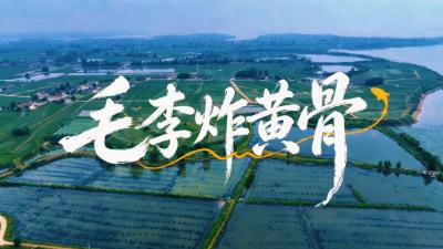 【时味沙洋:毛李炸黄骨】一竿钓尽河湖闲趣，一味尝遍市井烟火，八方来客共赴渔乐、共享这份鲜美的水乡盛情