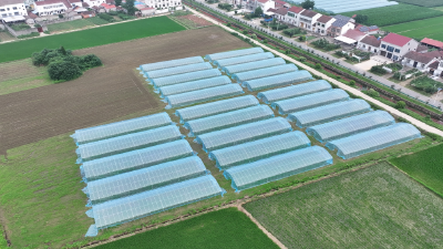 李市镇：衔接资金建大棚 特色产业促振兴