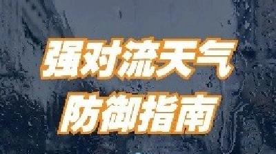 多地遭强对流“暴击”，这份防御指南请收好→ 