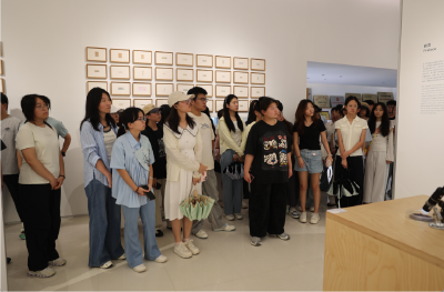 高校学子沙洋行 青春力量促发展