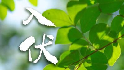 今天，入伏（有40天）