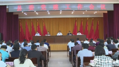 卢辉对县委党建工作提出四项要求
