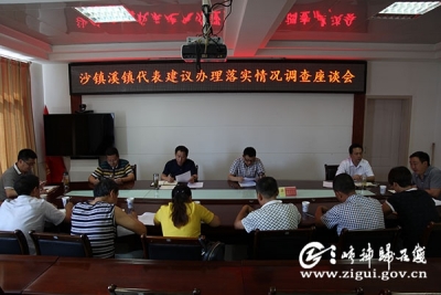 郑之彪与代表面对面调查2018年度代表建议办理落实情况