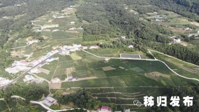 百日攻坚战丨杨林桥镇：决战决胜脱贫攻坚