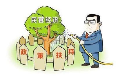 杨勇：支持民营企业高质量发展