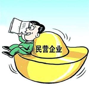 市政协：为民营经济发展营造公平公正法治环境