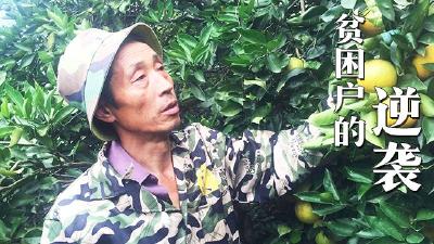 贫困户变身上班族，秭归还有这种操作？