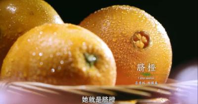 影响世界的中国植物，秭归就有，在央视节目露脸！