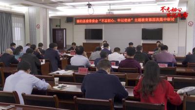 V视丨县委常委会主题教育开展第四次集中研讨