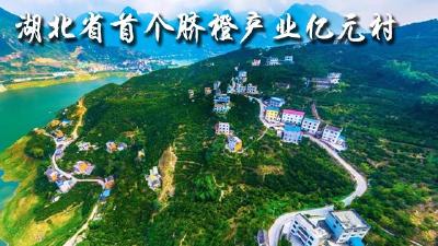收入几万元算“贫困户”，我想去秭归这个村落户……