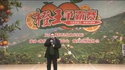 柑橘种植技巧