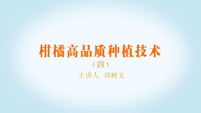 柑橘高品质种植技术讲座系列（四）
