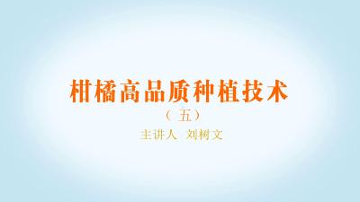 柑橘高品质种植技术讲座系列（五）