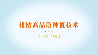 柑橘高品质种植技术讲座系列（三）