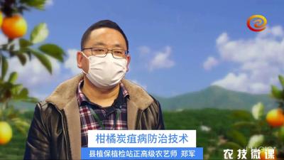 柑橘炭疽病防治