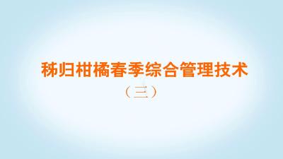 秭归柑橘春季综合管理技术（三）