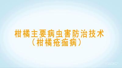 柑橘疮痂病防治