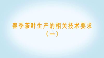 茶叶春季生产技术要求（一）