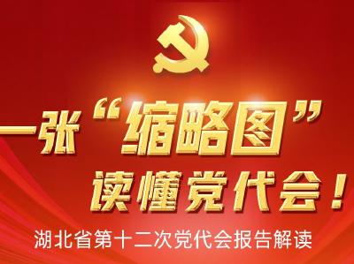 收藏 | 一张“缩略图”，读懂党代会！