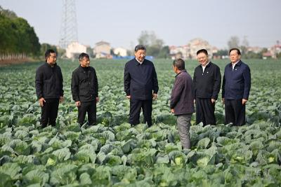 循着习近平总书记的足迹感悟“三农”情怀