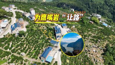 为鹰嘴岩“让路”