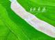 秭归六月高光时刻：九歌巷子启航、央视探非遗、海南鳽首现！