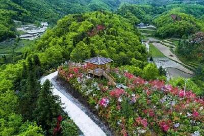 生态含“绿”，发展足“金”