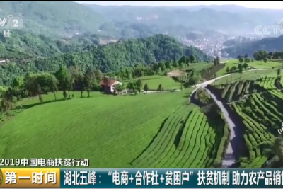 央视财经[第一时间]报道“2019中国电商扶贫行动”湖北五峰站活动