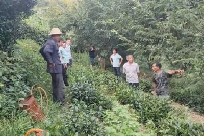 千里来书只为墙，  让他三尺又何妨？
