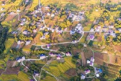 云上五峰，有林海千里，有茶园万亩...去100次都看不够啊