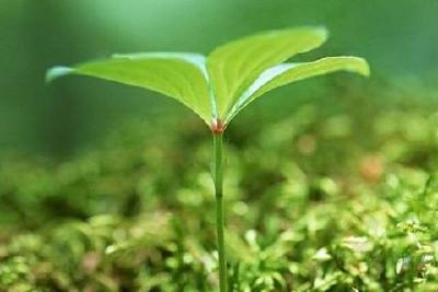 权威科普知识：春耕正当时，防疫两不误