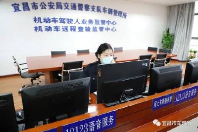 “网上车管所”来了！12项业务可预约办理
