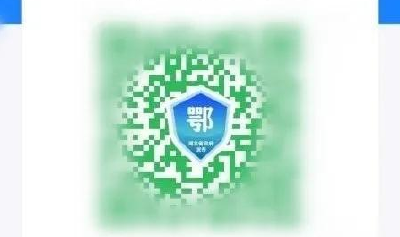 全市首个健康“绿码”，五峰返岗人员已领取