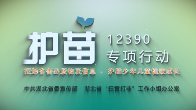 “扫黄打非·护苗”公益宣传