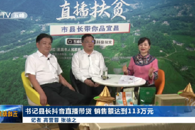 书记县长抖音直播带货 销售额达到113万元