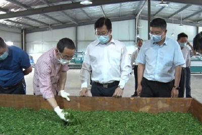 邵志祥到我县调研脱贫攻坚工作