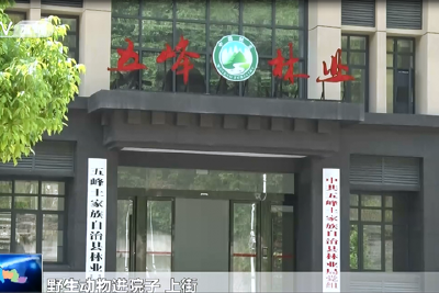 宜居“地盘”变大 野生动物常来“串门”