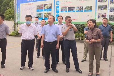 杨云彦到我县调研民族工作强调  加强联动 提升民族地区持续发展动力