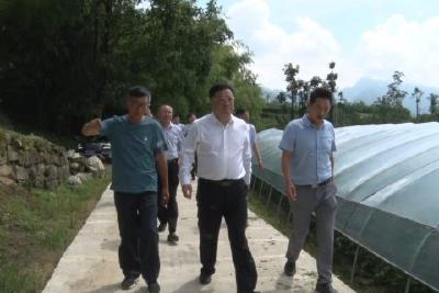 陈华到采花乡白溢坪村调研脱贫攻坚和乡村振兴工作
