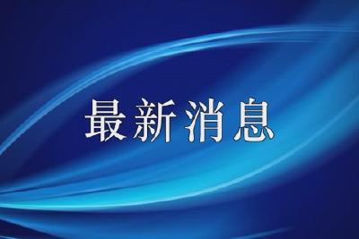 安琪集团来我县调研速溶茶项目