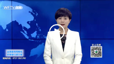 五峰民族工业园：让孵化企业健康成长