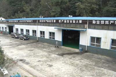 稳产延链 我县茶产业确保产销两旺